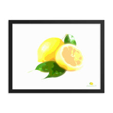 Load image into Gallery viewer, Framed Photo Paper Poster - Lemon Art